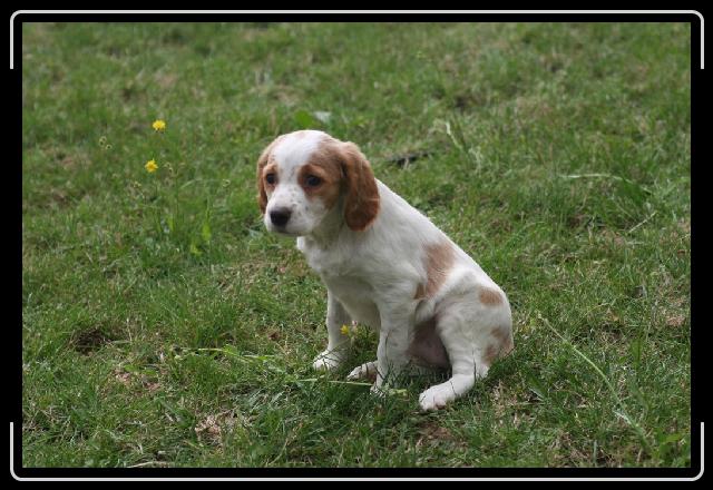Cliquer pour l\'image originale