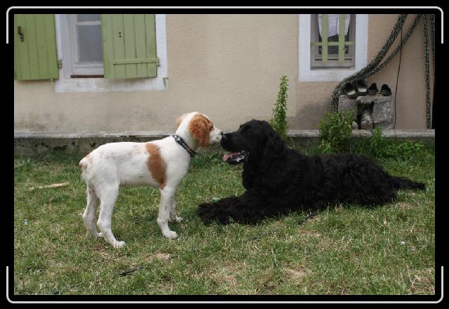 Cliquer pour l\'image originale